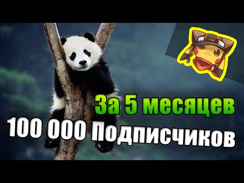 5 месяцев = 100 000 подписчиков Youtube [Панда]_0.jpg